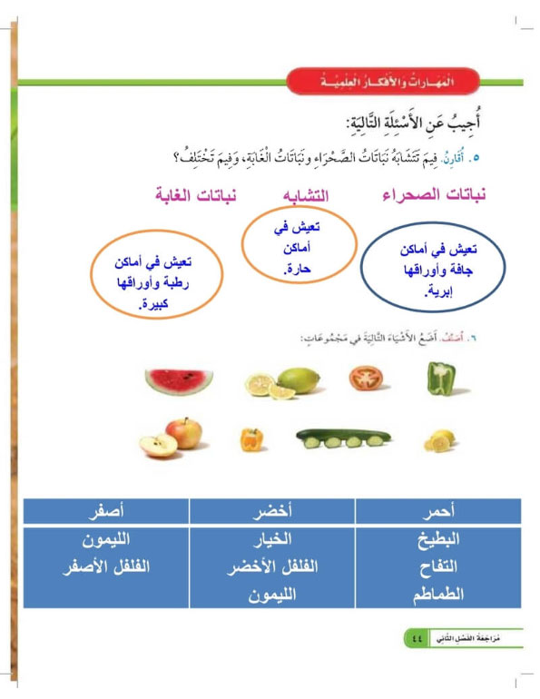 المهارات والأفكار العلمية