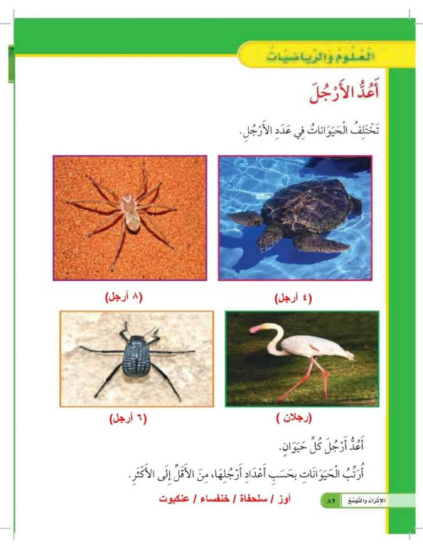 العلوم والرياضيات