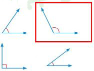 اختار الإجابة الصحيحة