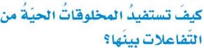 التفاعلات الحيوية