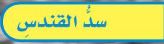 سد القندس