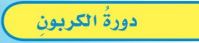 دورة الكربون