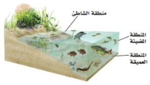 المناطق