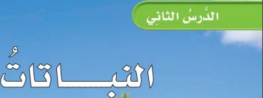النباتات