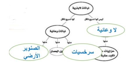 الخريطة المفاهيمية