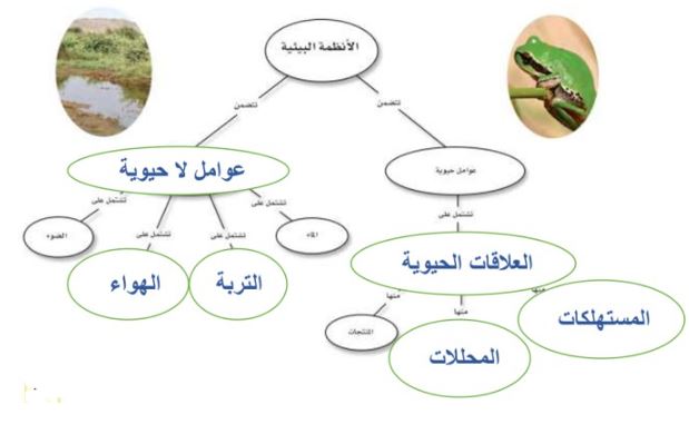 الخريطة