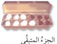 بيض