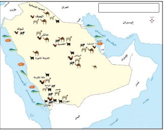 الخريطة