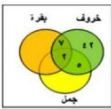 دائرتين