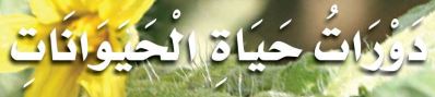 الدرس الثاني: دورات حياة الحيوانات