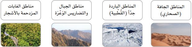 صور
