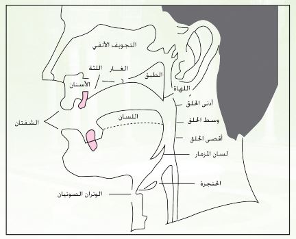 مثال 