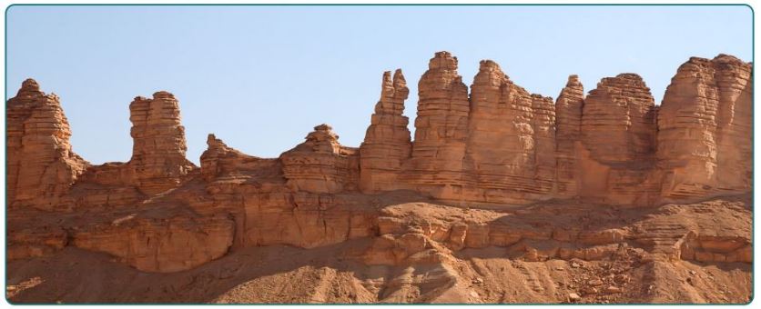 صورة النشاط الأول