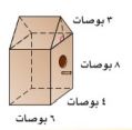 مثال طيور