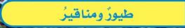 طيور ومناقير