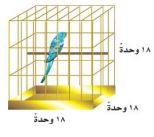 قفص عصفور