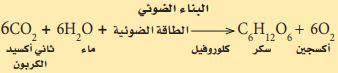 معادلة
