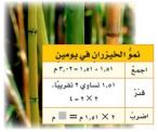 نباتات الخيزران