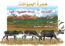 هجرة